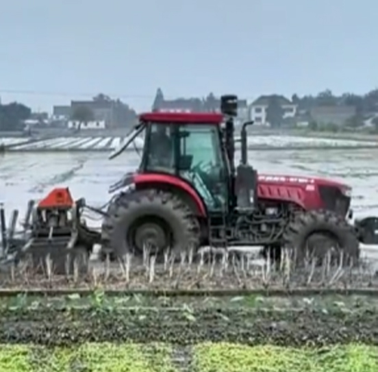 您負(fù)責(zé)統(tǒng)籌全局，它負(fù)責(zé)腳踏實(shí)地